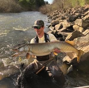 Meet your Posher, Collin